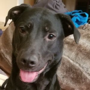 Meet your Posher, Morgan